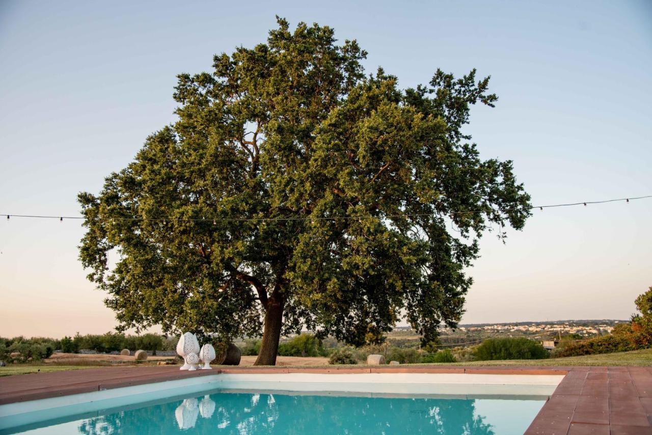 Trulli Paparale Альберобелло Экстерьер фото