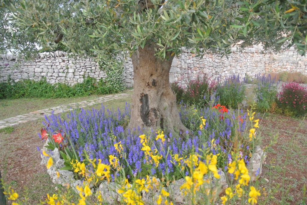 Trulli Paparale Альберобелло Экстерьер фото